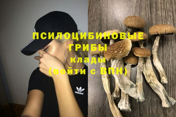 молекула духа Алексеевка