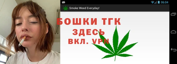 молекула духа Алексеевка