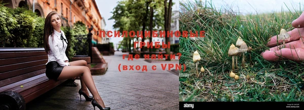 молекула духа Алексеевка
