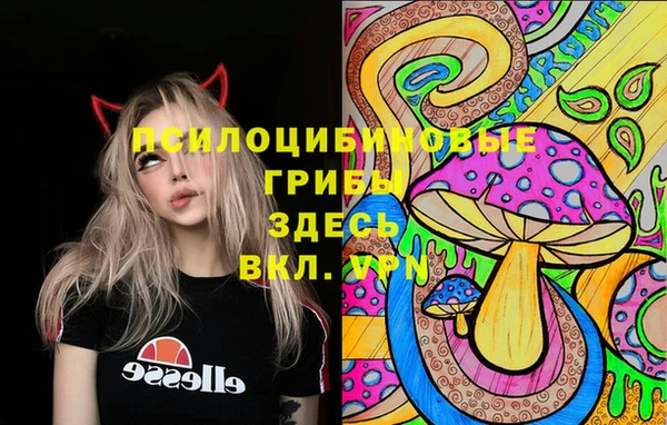 молекула духа Алексеевка