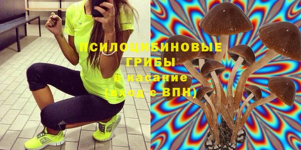 молекула духа Алексеевка